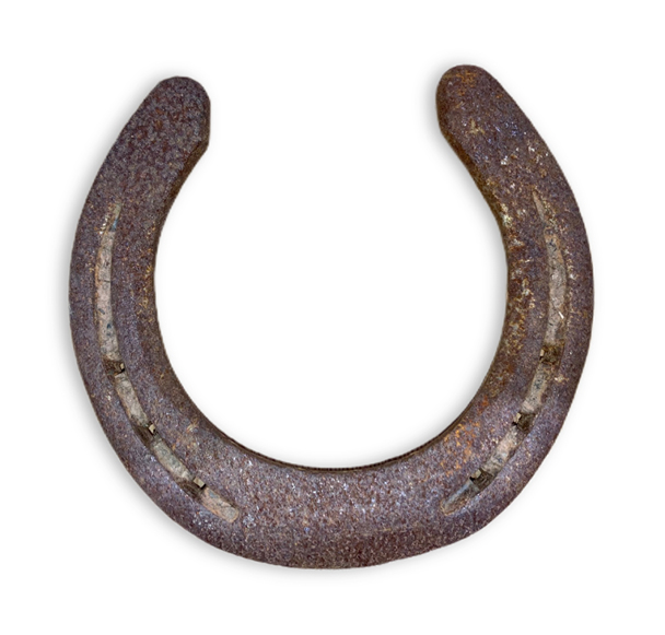 Polished Horseshoe