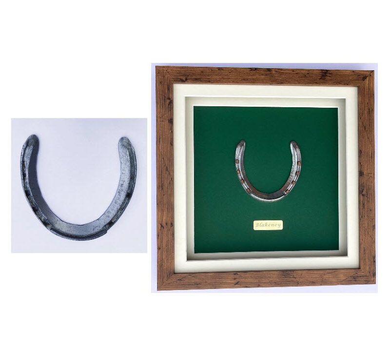 Framed Horseshoes