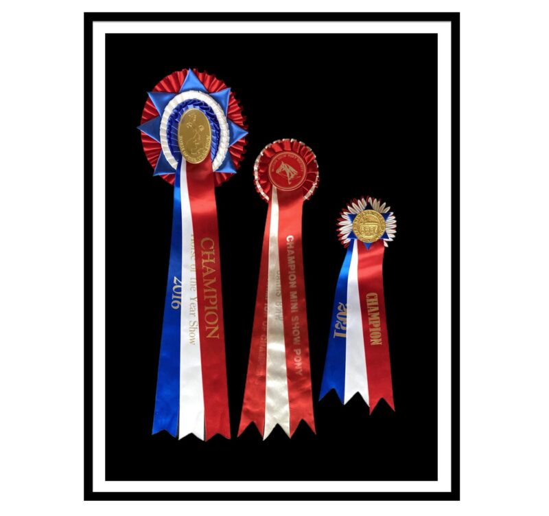 Framed Rosettes - Prices from £90.00 - Image 3